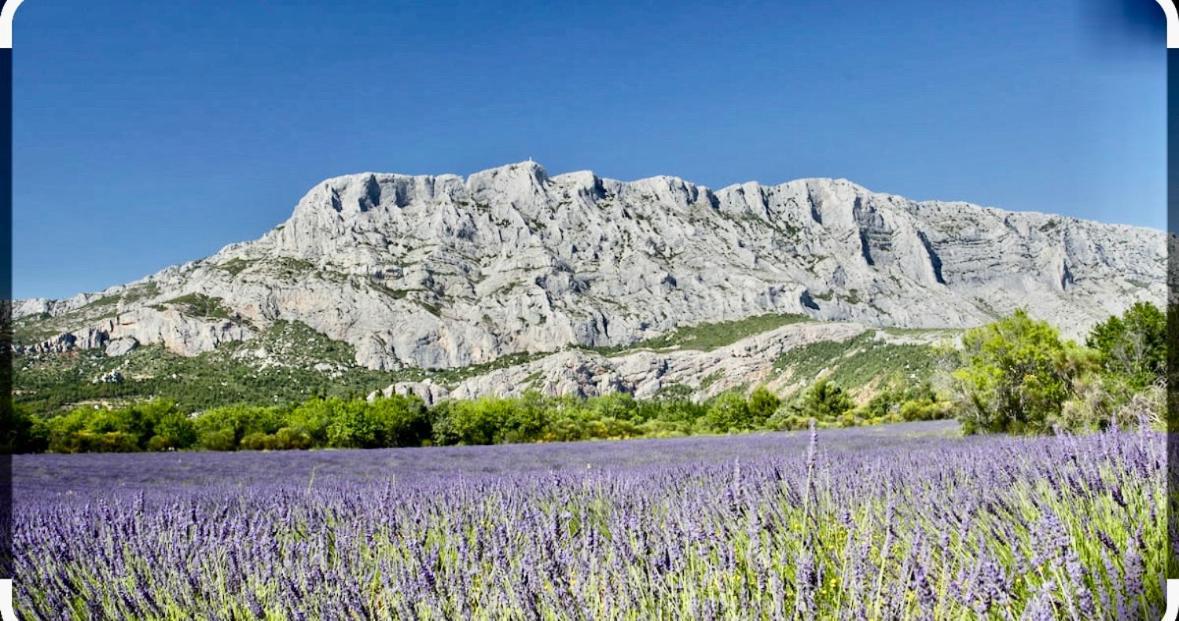 Charmant Studio Le Clos D'Aix Parking Prive Gratuit Et Piscine Aix-en-Provence Exteriör bild